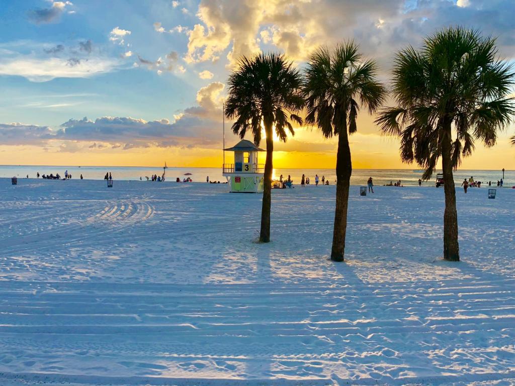 Paradise on the Wheels at Clearwater Beaches