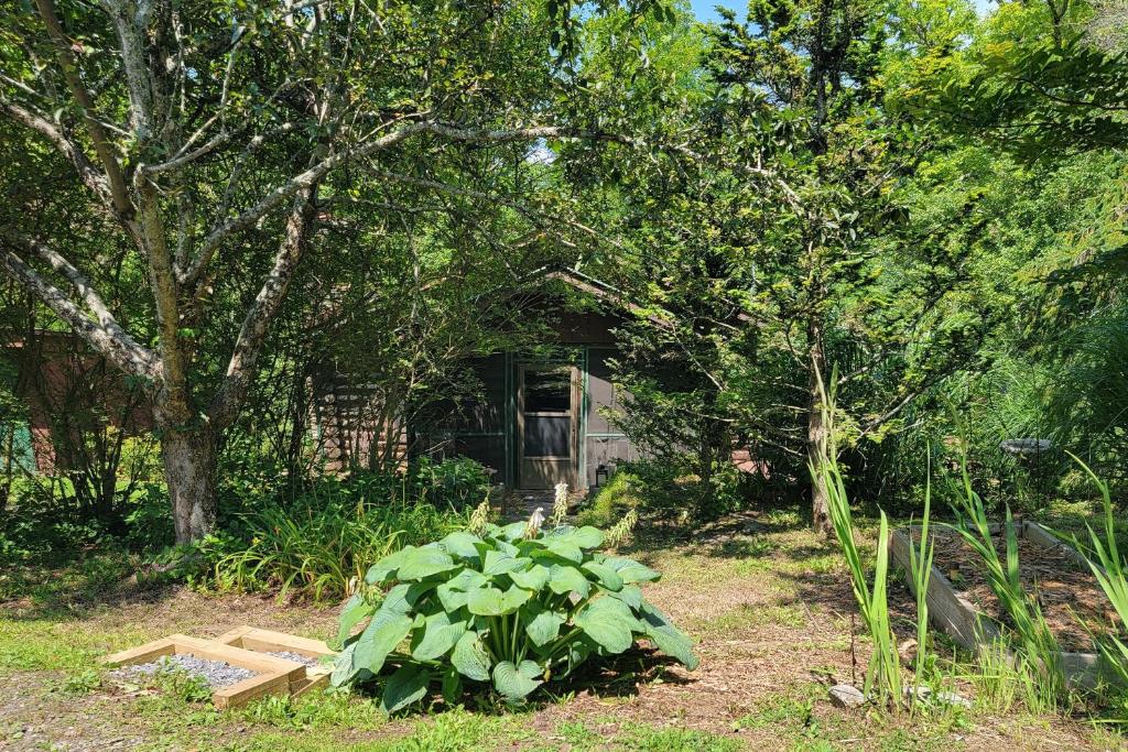 Blue Ridge Cottage