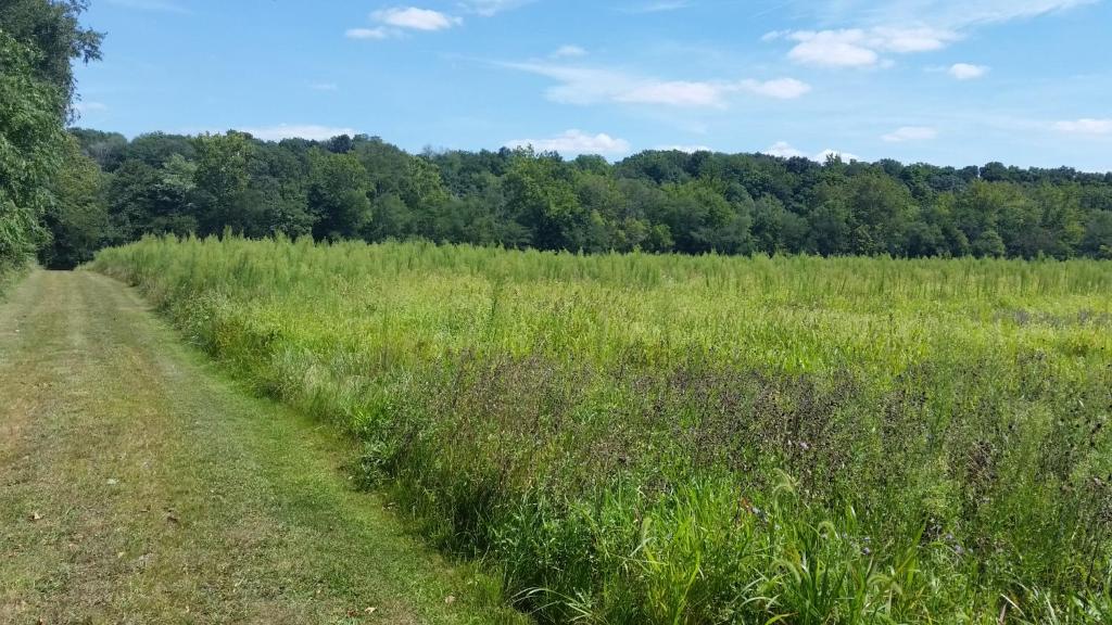 Sycamore Springs Farm on Springboro river site